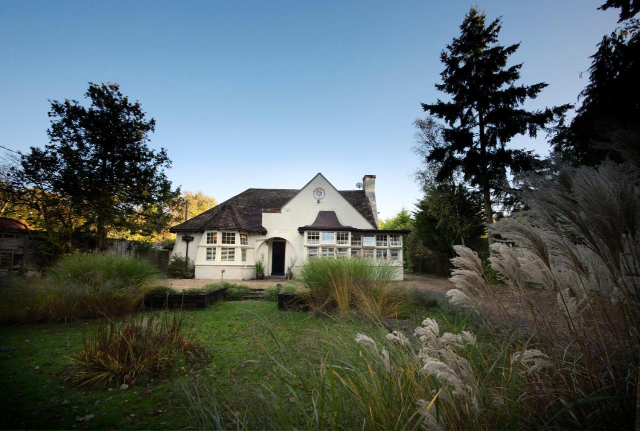 Daisybank Cottage Boutique Bed And Breakfast บร็อคเคนเฮิร์สต์ ภายนอก รูปภาพ