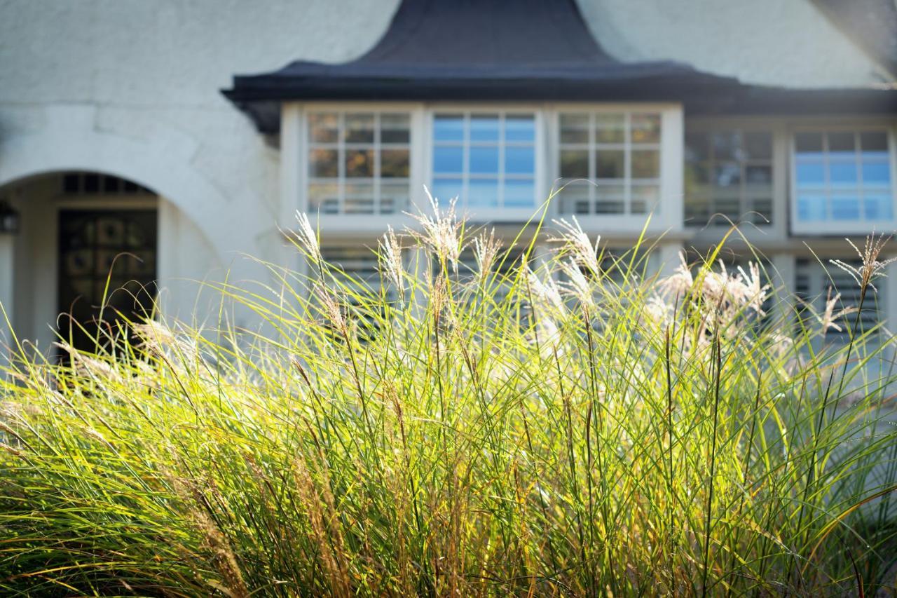 Daisybank Cottage Boutique Bed And Breakfast บร็อคเคนเฮิร์สต์ ภายนอก รูปภาพ